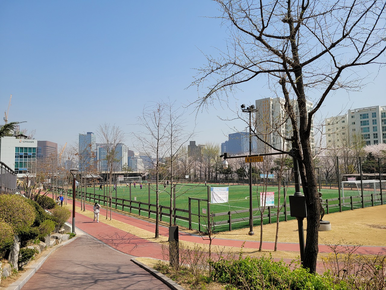 卡马文加因 卡马文加因