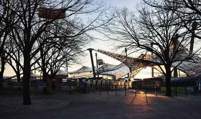 球员真的告 球员真的告