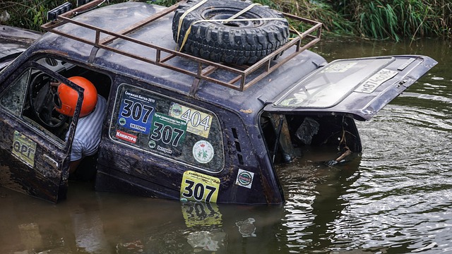 仅为中国台 仅为中国台