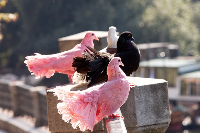 重视每一个 重视每一个