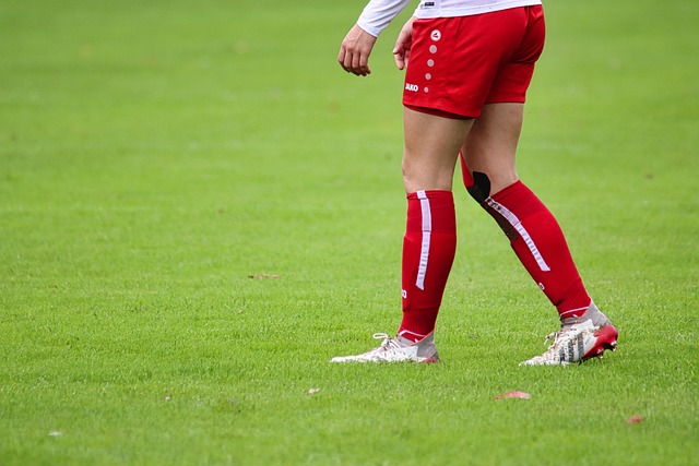 史与影响 史与影响