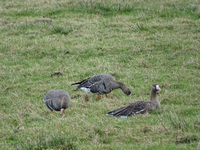 以下是一个 以下是一个