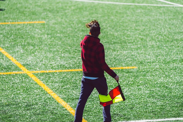 文化影響 文化影響