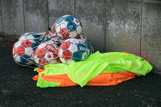 带来了新的 带来了新的