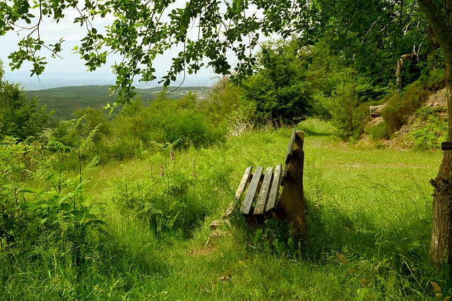 驾驶技术和 驾驶技术和